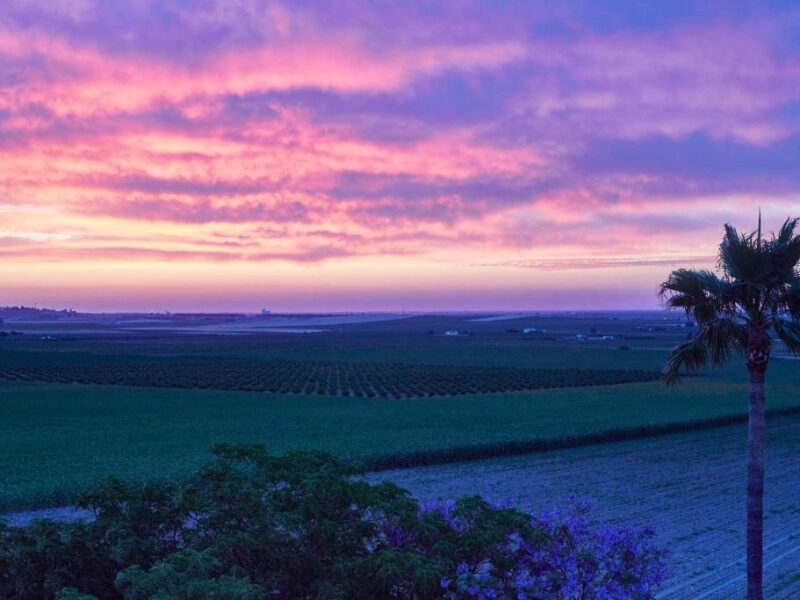 Hacienda de San Rafael (Andalucia)