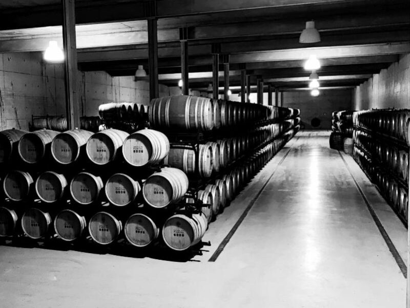 The Manor House Celeirós