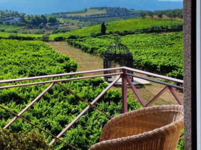 The Manor House Celeirós