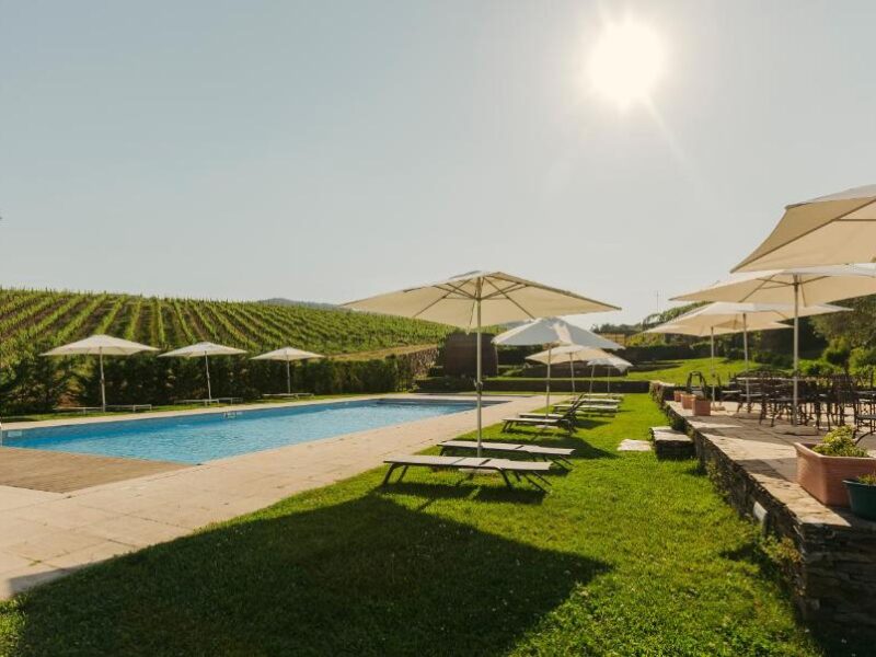 The Manor House Celeirós