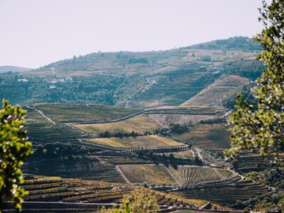 Hotel Rural da Quinta do Silval