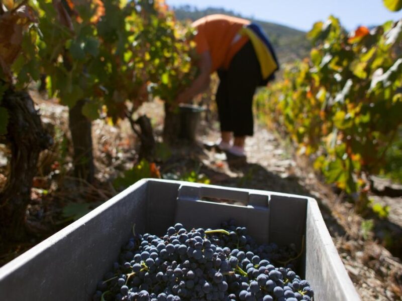 Hotel Rural da Quinta do Silval