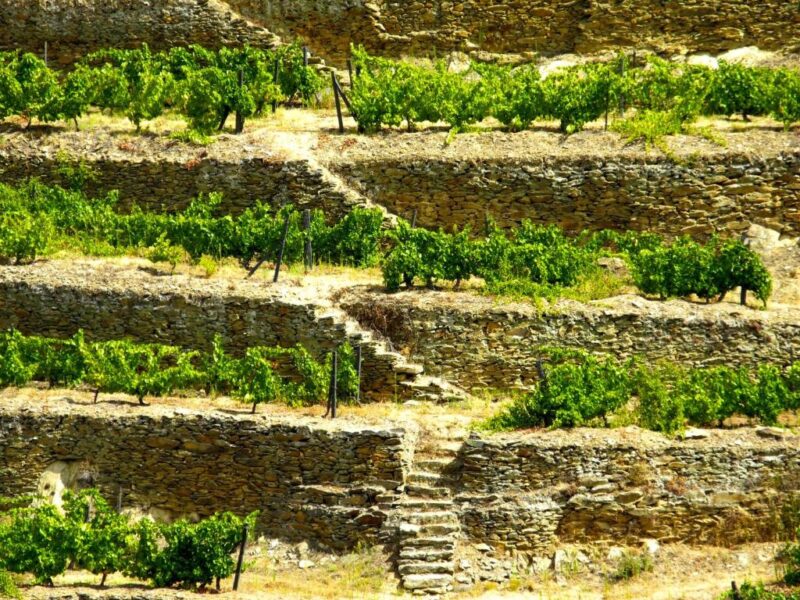 Hotel Rural da Quinta do Silval