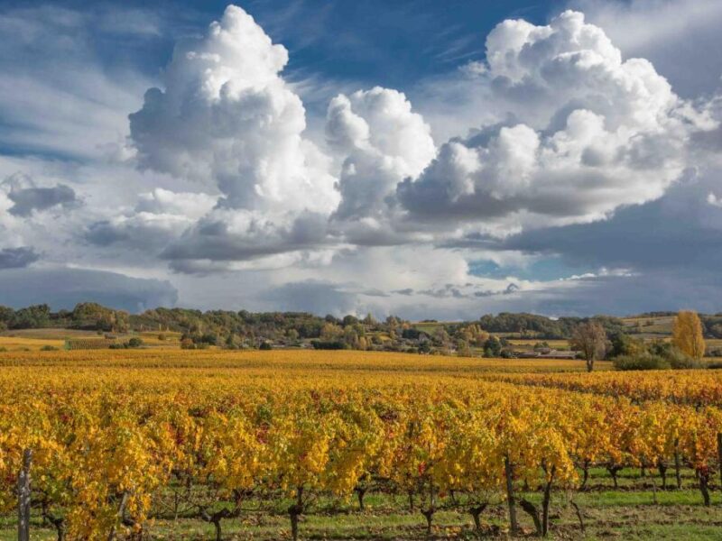 Chateau du Palanquey & SPA