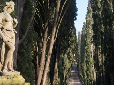 Tenuta Poggio Torselli Winery: Chianti Elegance Just Outside Florence