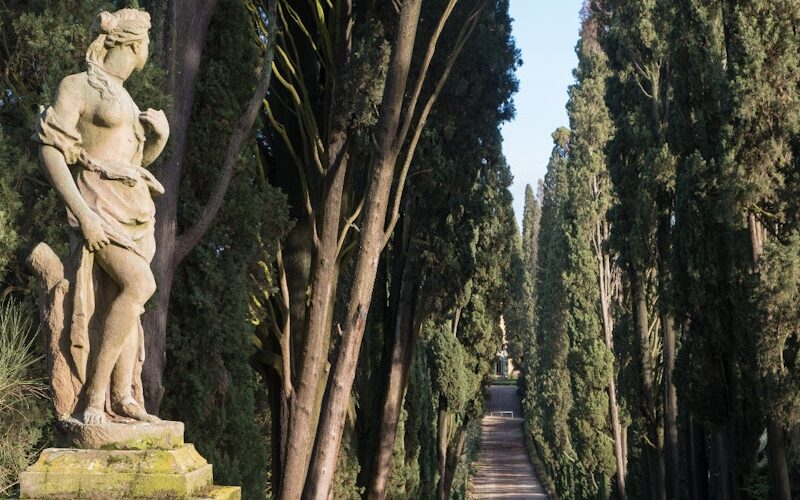 Tenuta Poggio Torselli Winery: Chianti Elegance Just Outside Florence